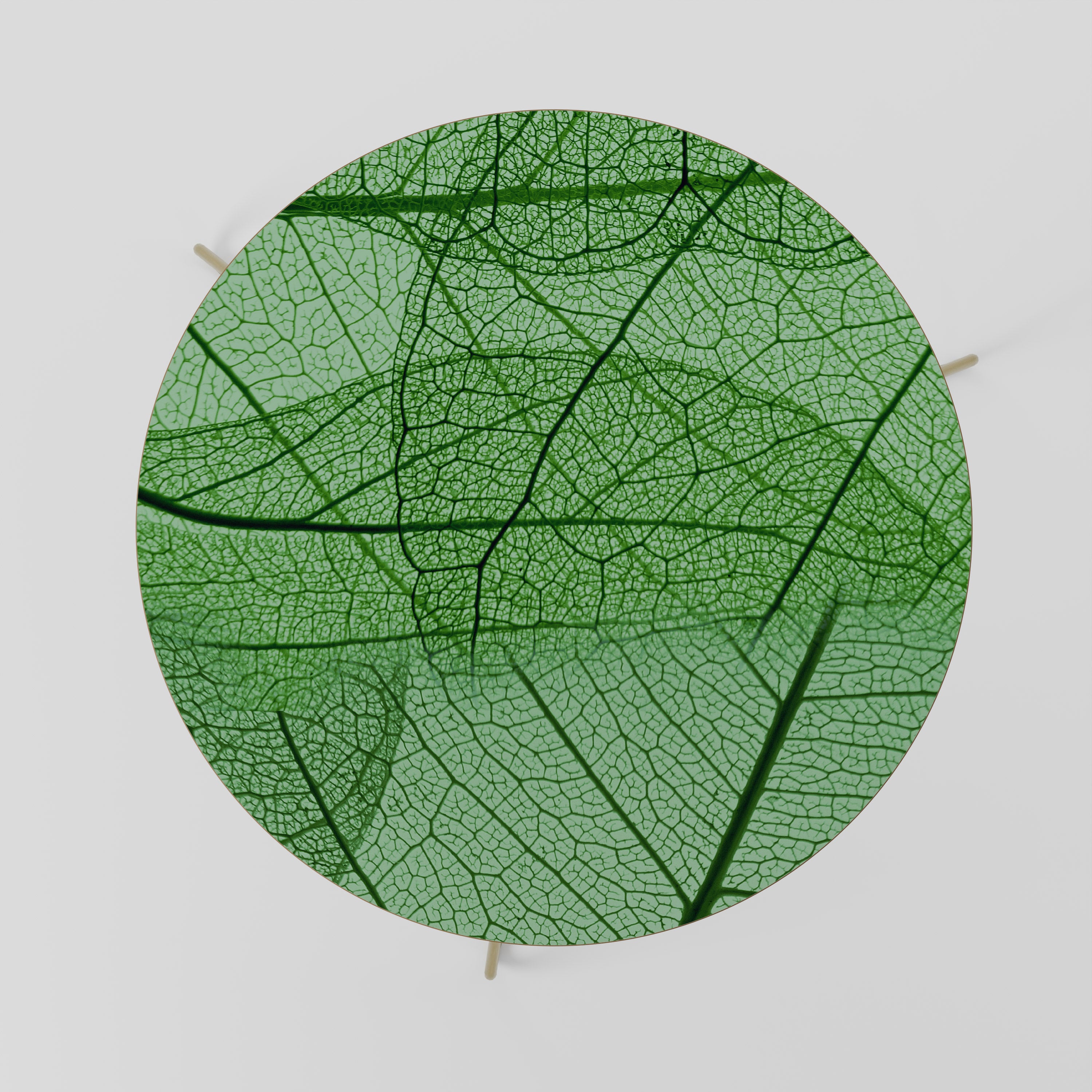 Mesa de centro VENAS DE VIDA 69