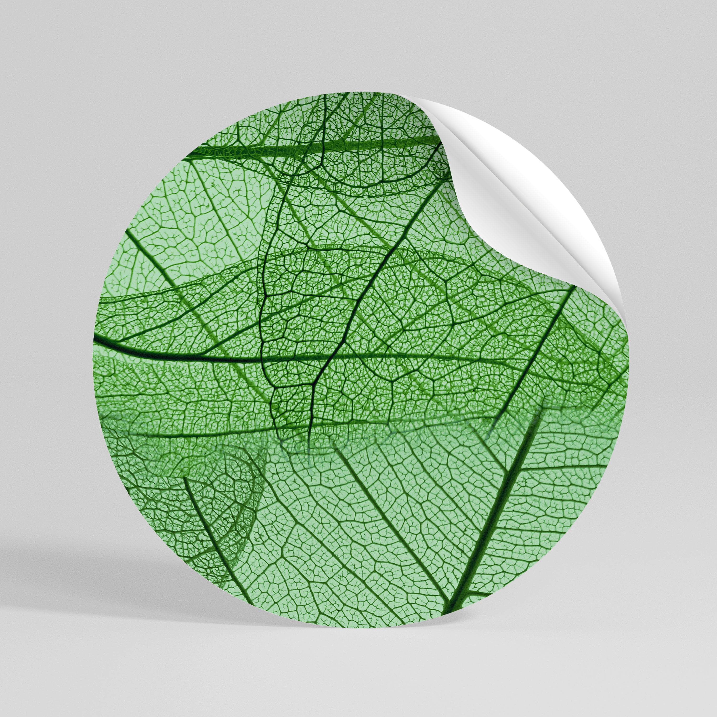 VEINS OF LIFE Vinilo adhesivo redondo