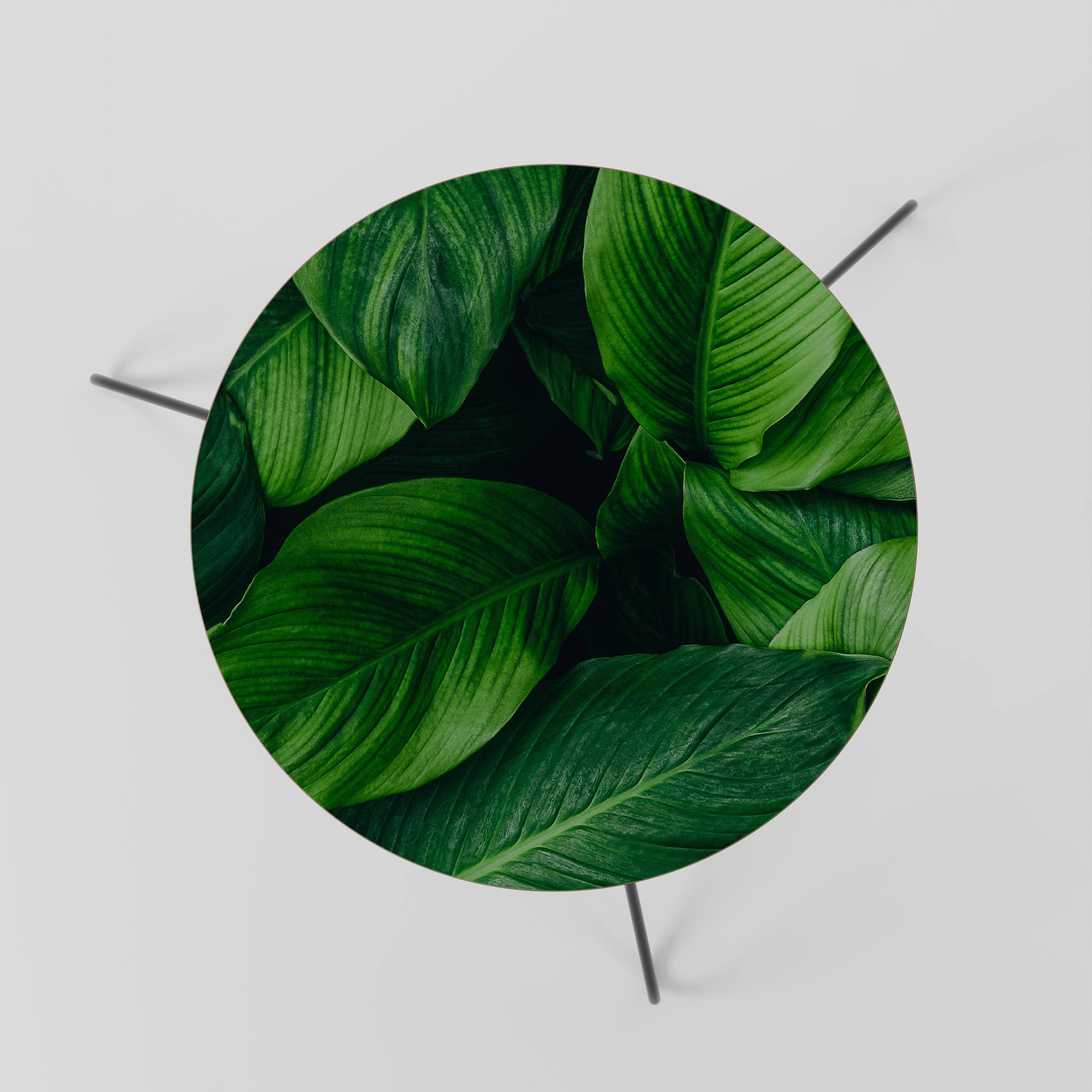 VIBRANT LEAFY EMBRACE Coffee Table 60