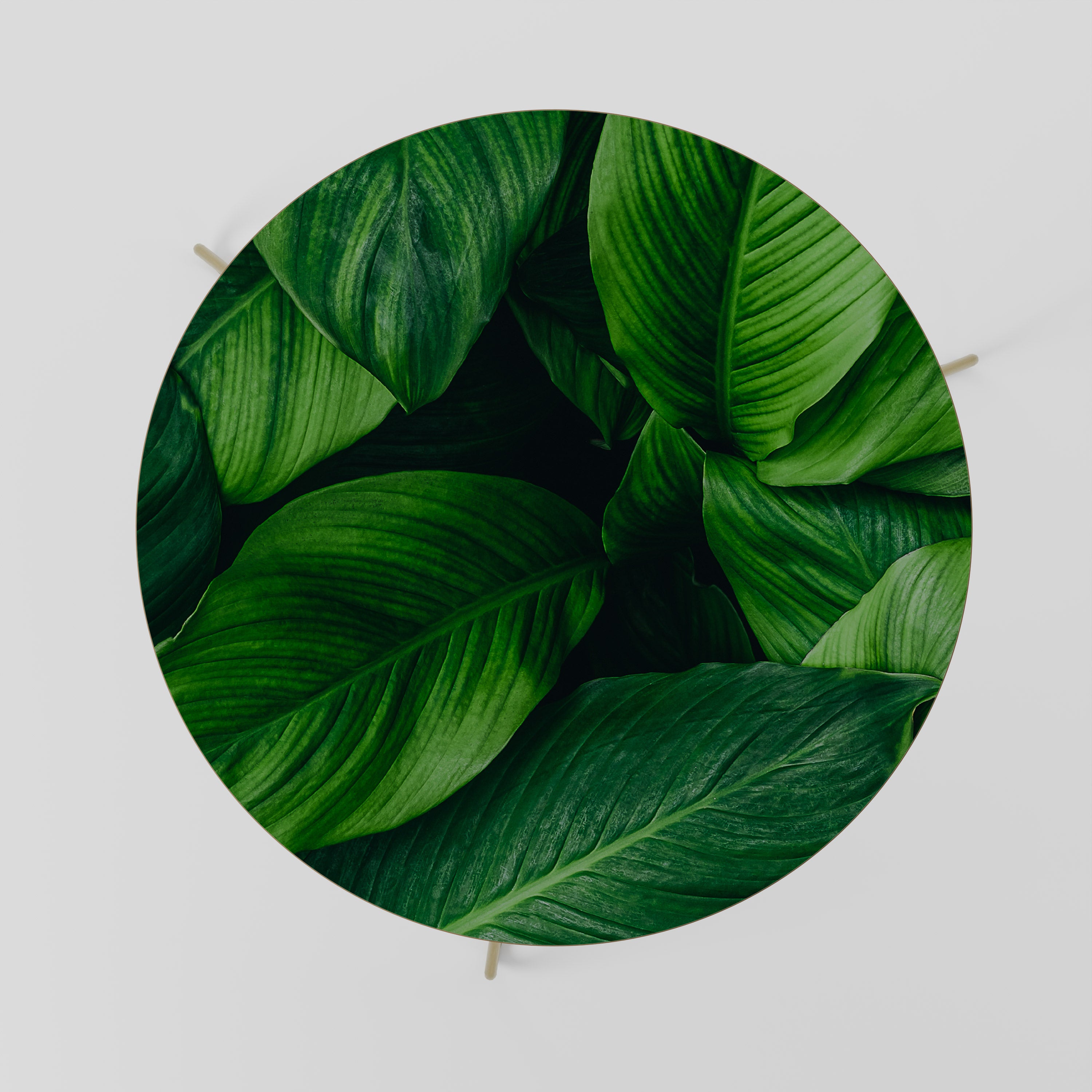 Mesa de centro VIBRANT LEAFY EMBRACE 69