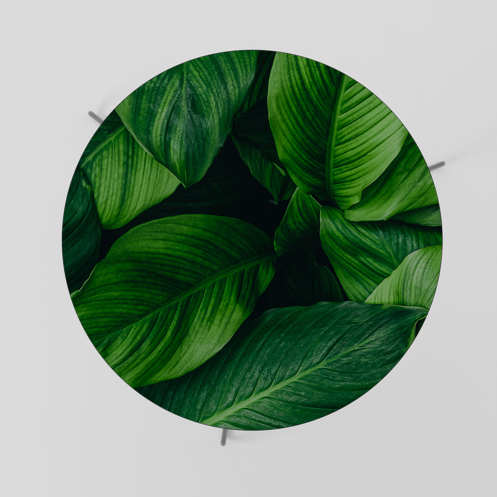 Mesa de centro VIBRANT LEAFY EMBRACE 69
