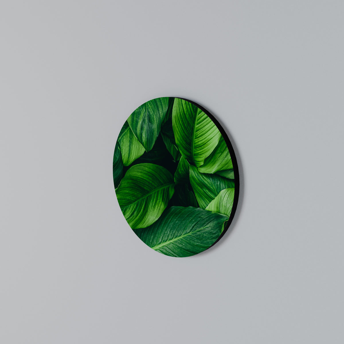 VIBRANT LEAFY EMBRACE Arte de pared redondo