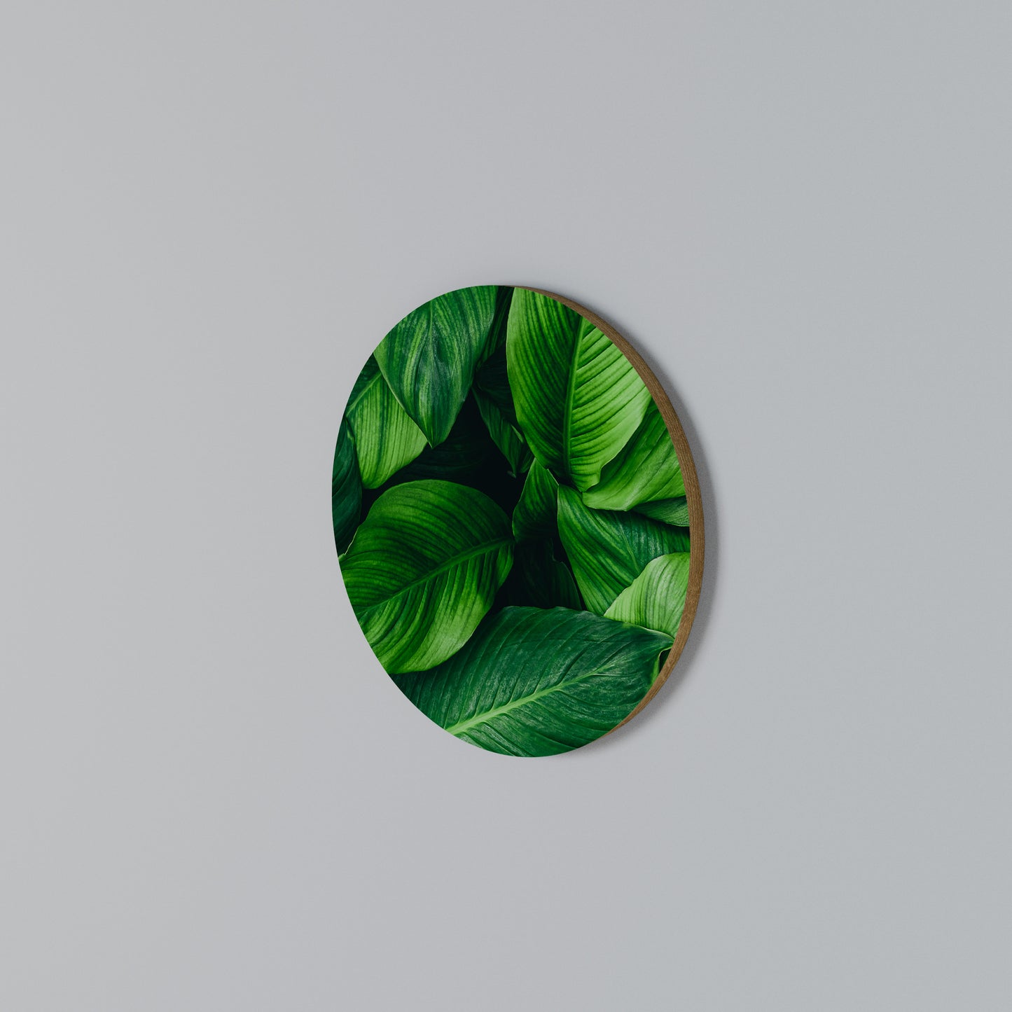 VIBRANT LEAFY EMBRACE Arte de pared redondo