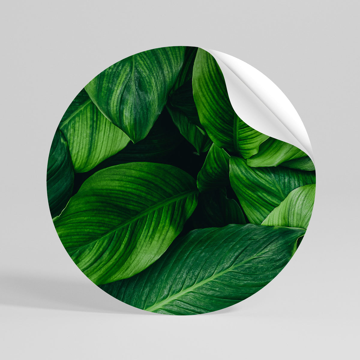VIBRANT LEAFY EMBRACE Vinilo adhesivo redondo