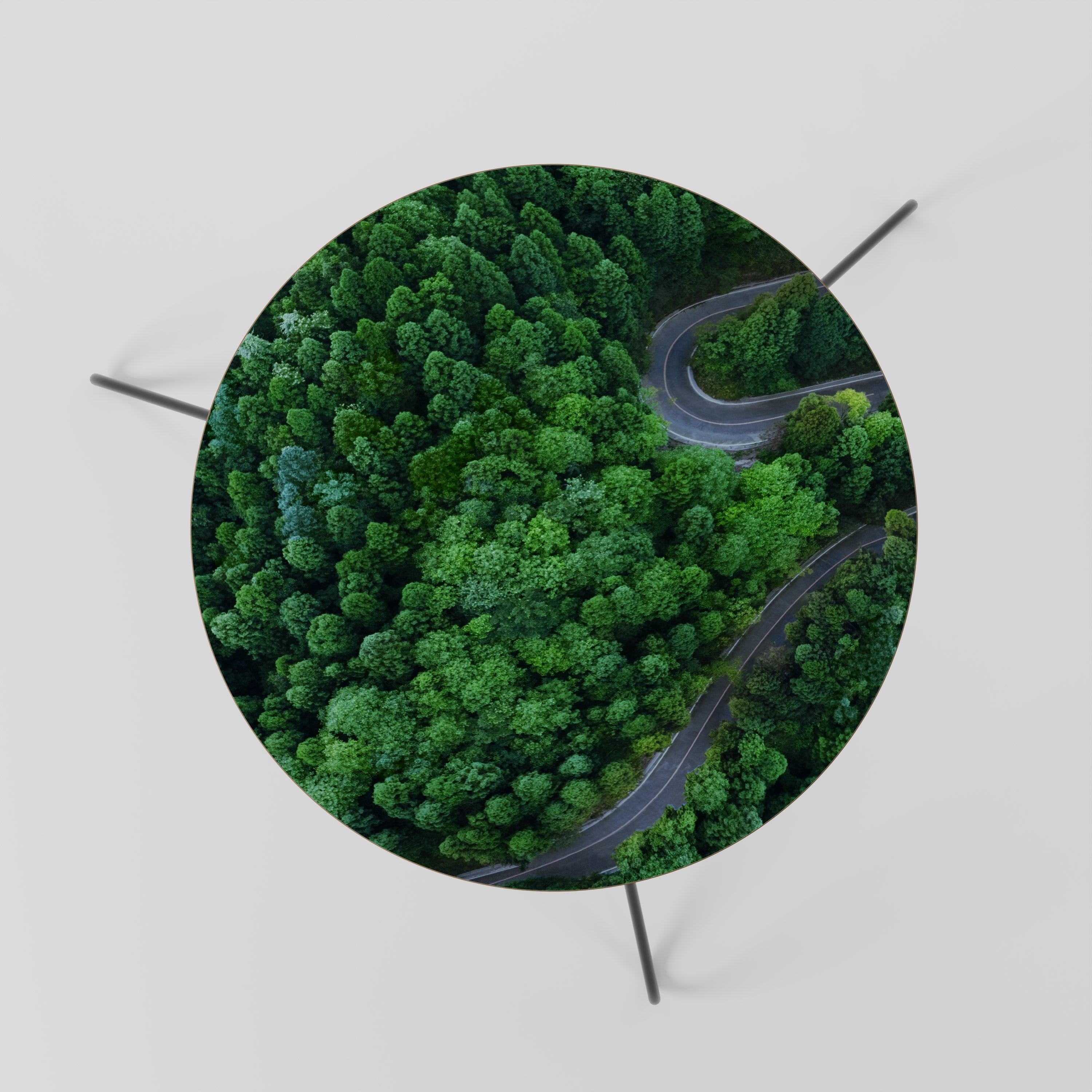 ENCHANTED FOREST RIDE Coffee Table 60