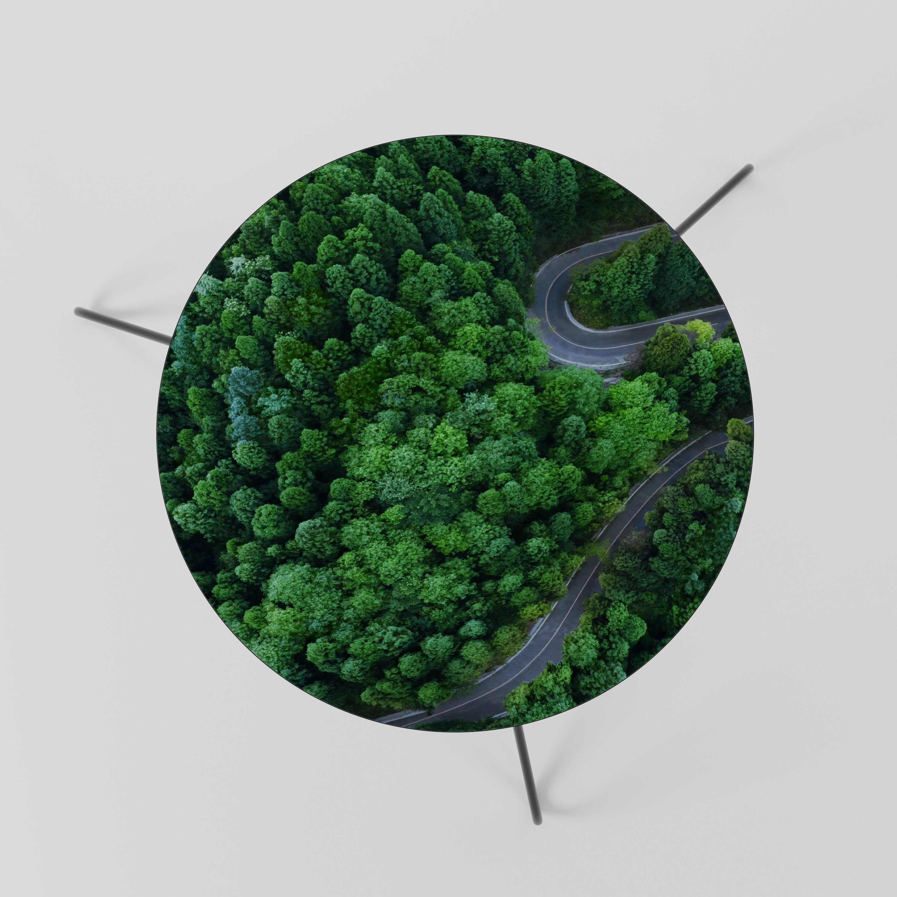 ENCHANTED FOREST RIDE Coffee Table 60