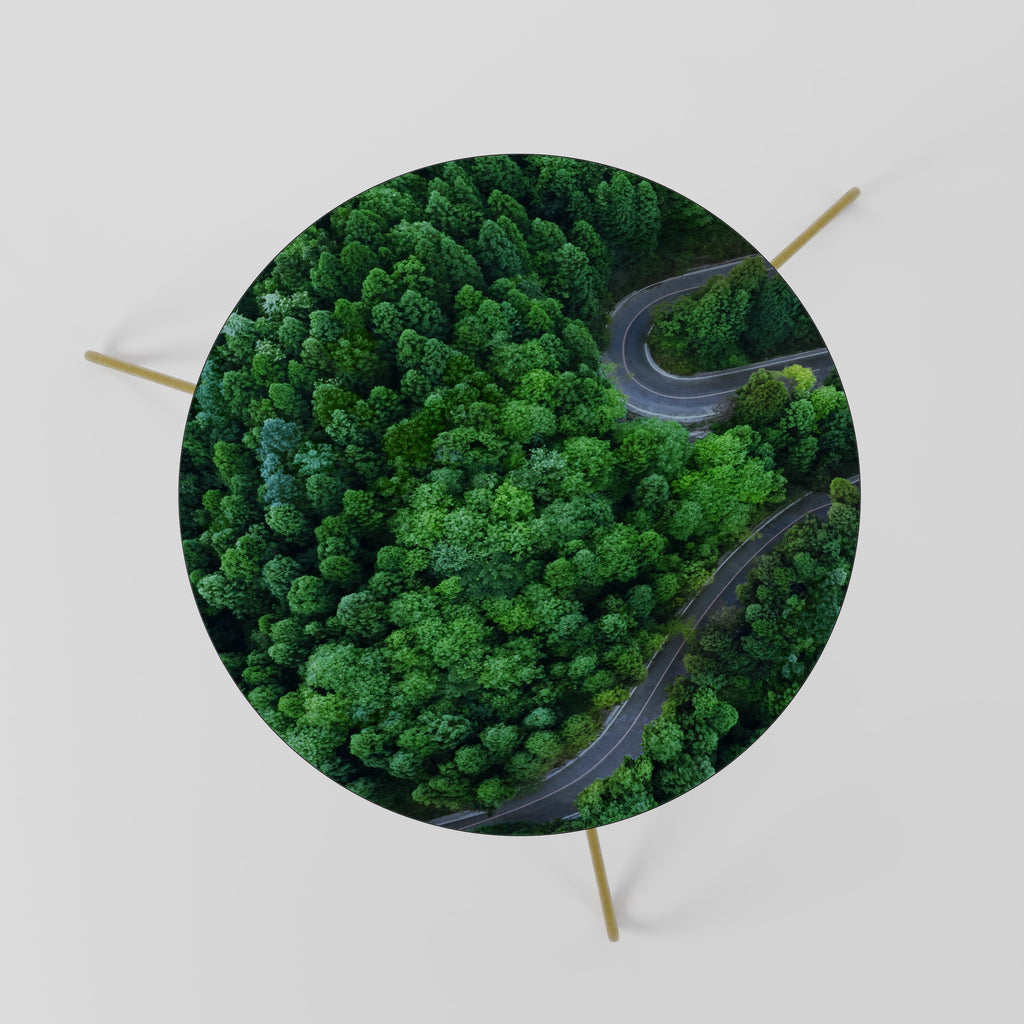 ENCHANTED FOREST RIDE Coffee Table 60