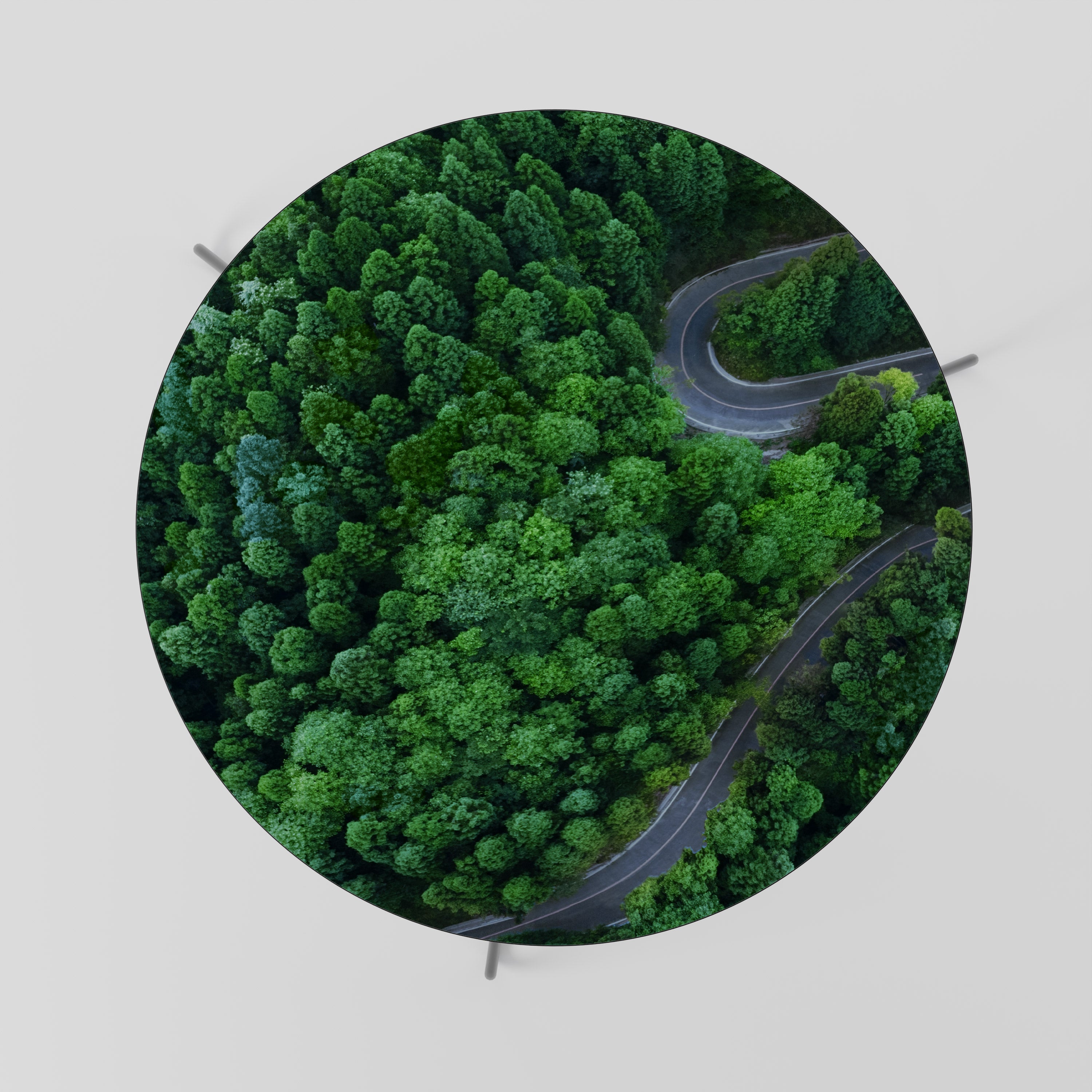 Mesa de centro PASEO POR EL BOSQUE ENCANTADO 69