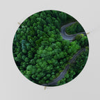 Mesa de centro PASEO POR EL BOSQUE ENCANTADO 69