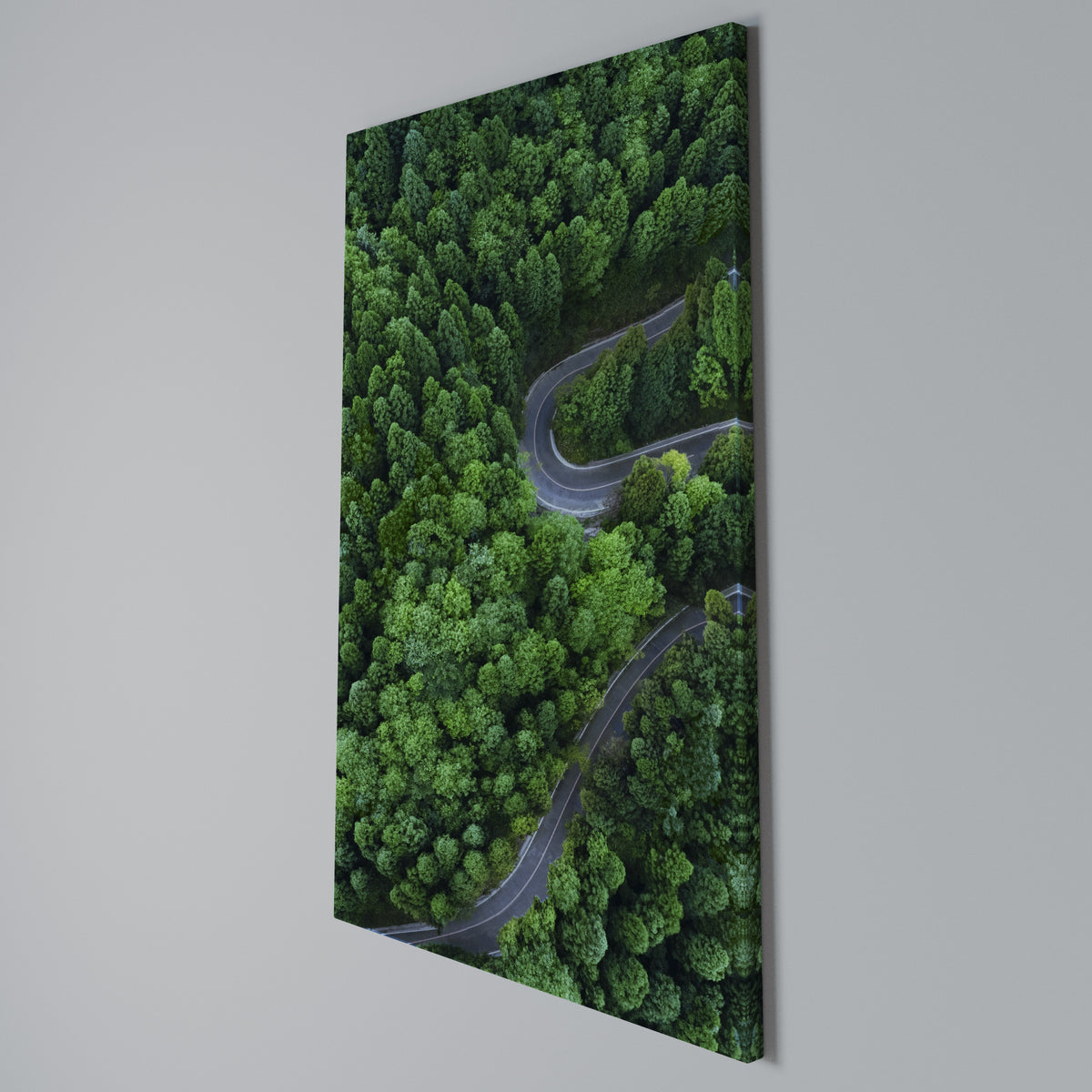 ENCHANTED FOREST RIDE Cuadro en lienzo vertical