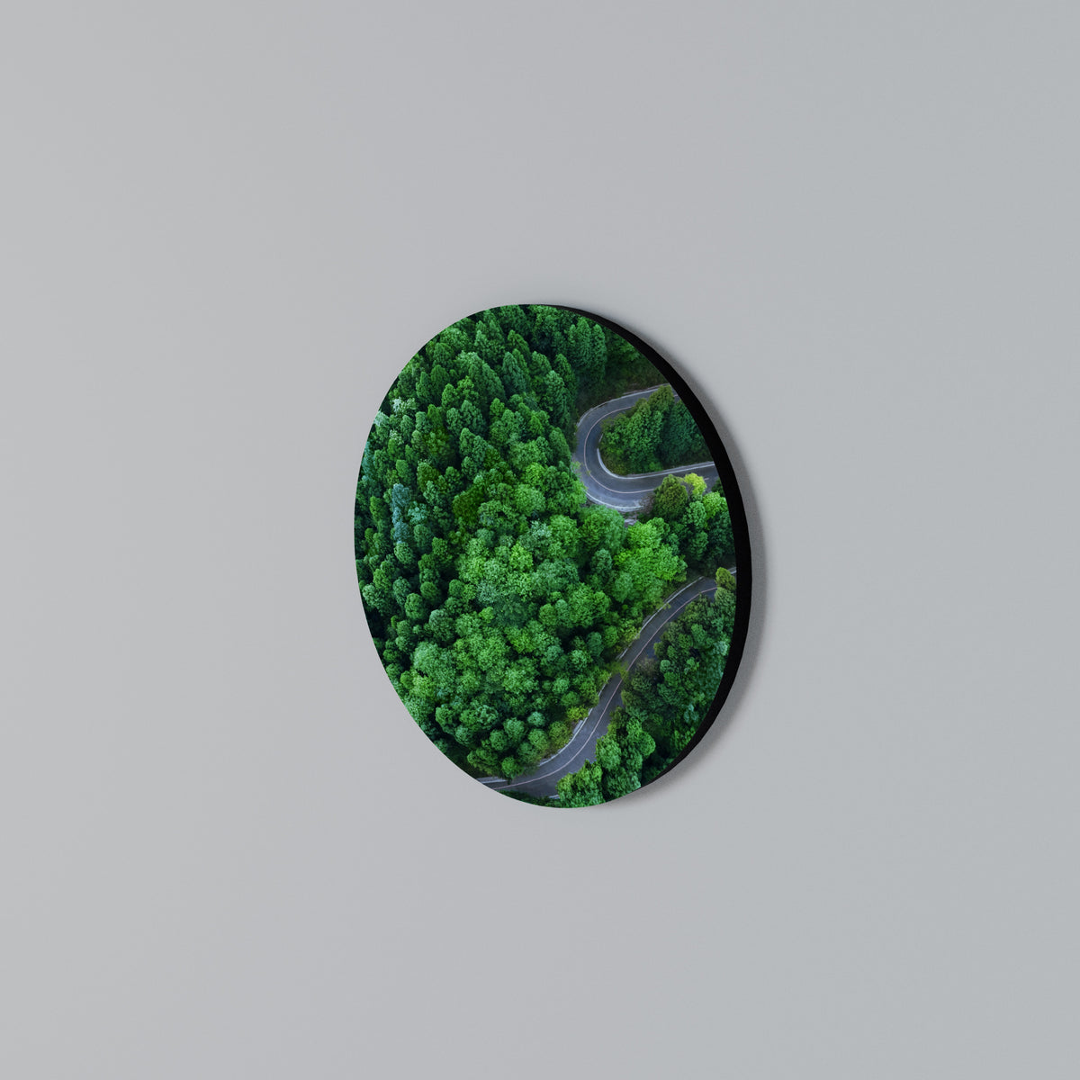 ENCHANTED FOREST RIDE Arte de pared redondo