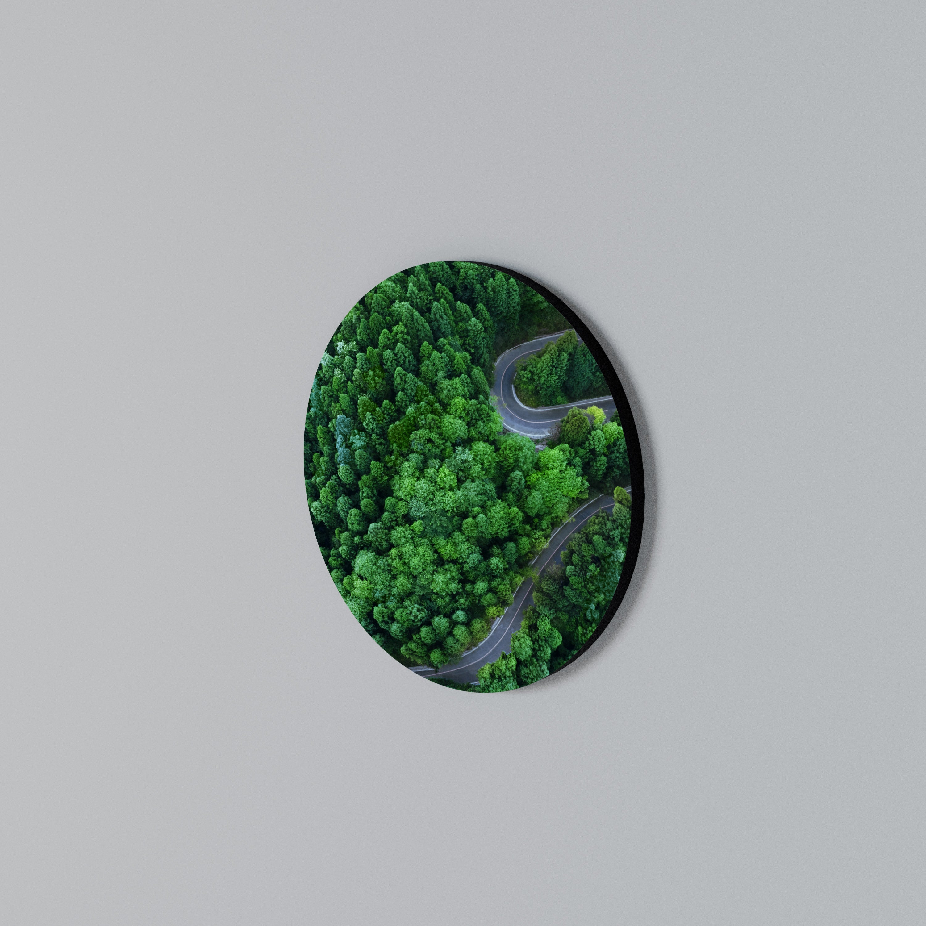 ENCHANTED FOREST RIDE Round Wall Art