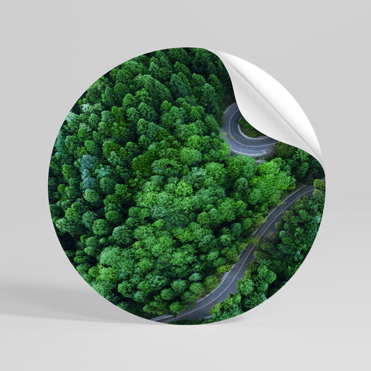 ENCHANTED FOREST RIDE Vinilo adhesivo redondo