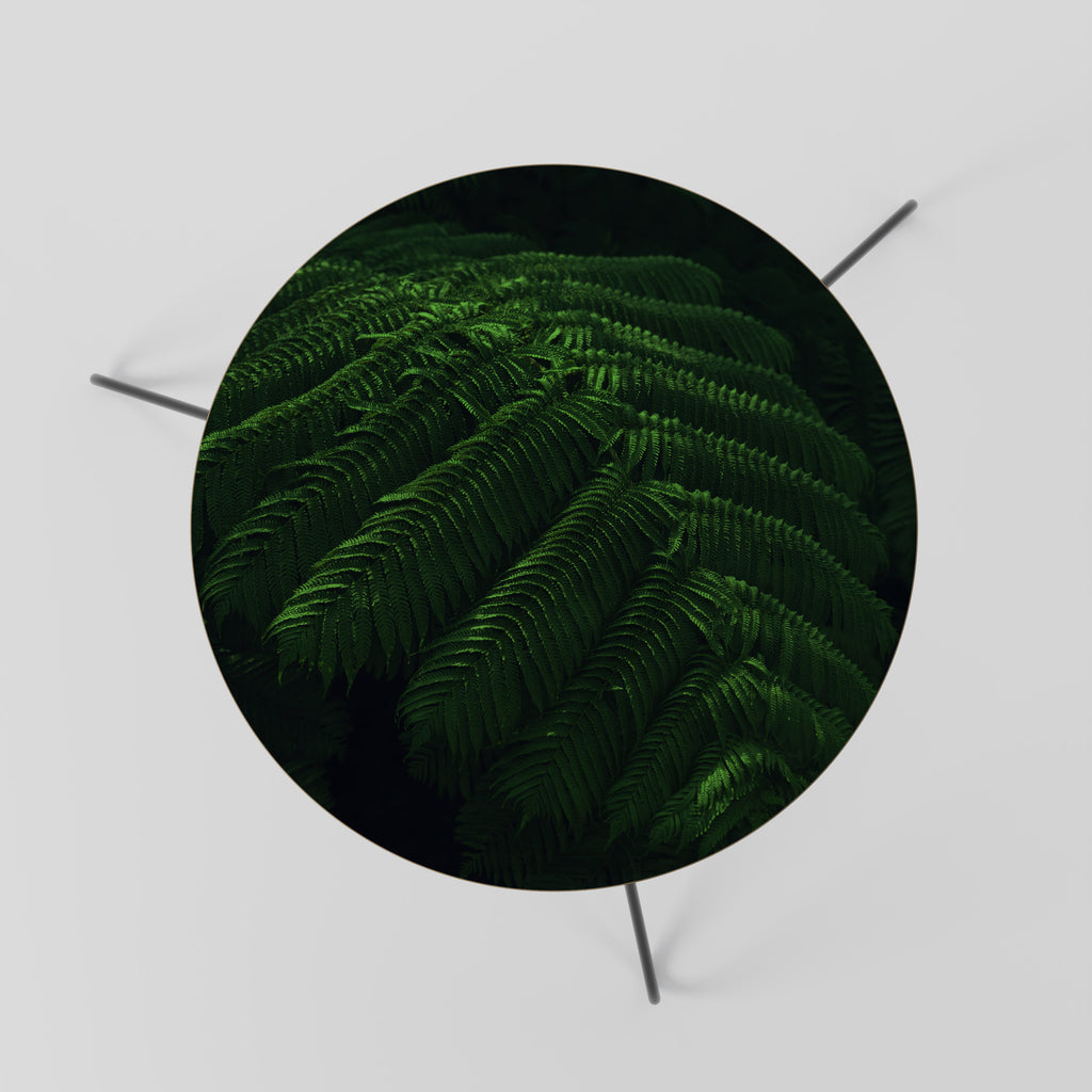 FERN FANTASY Coffee Table 60