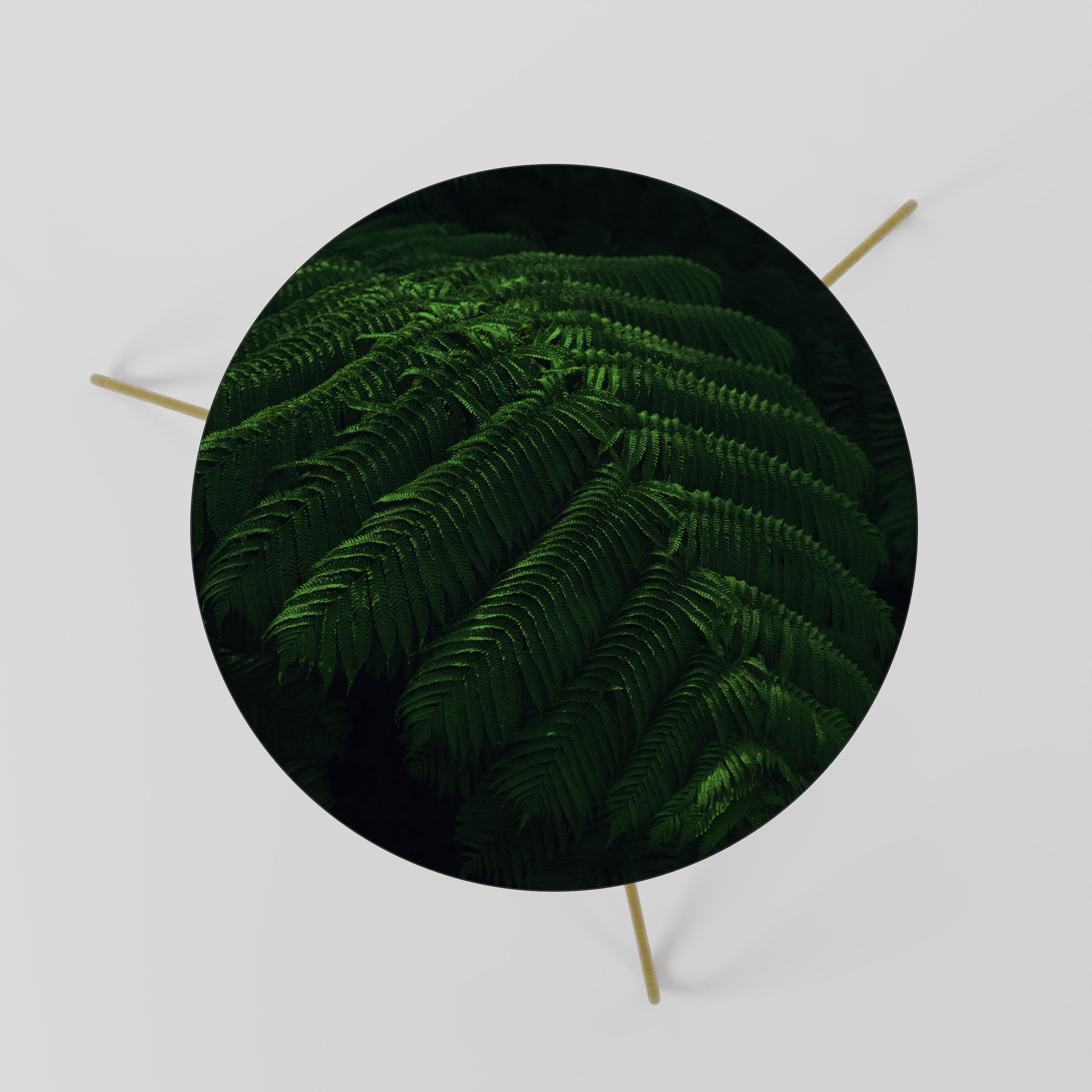 FERN FANTASY Coffee Table 60