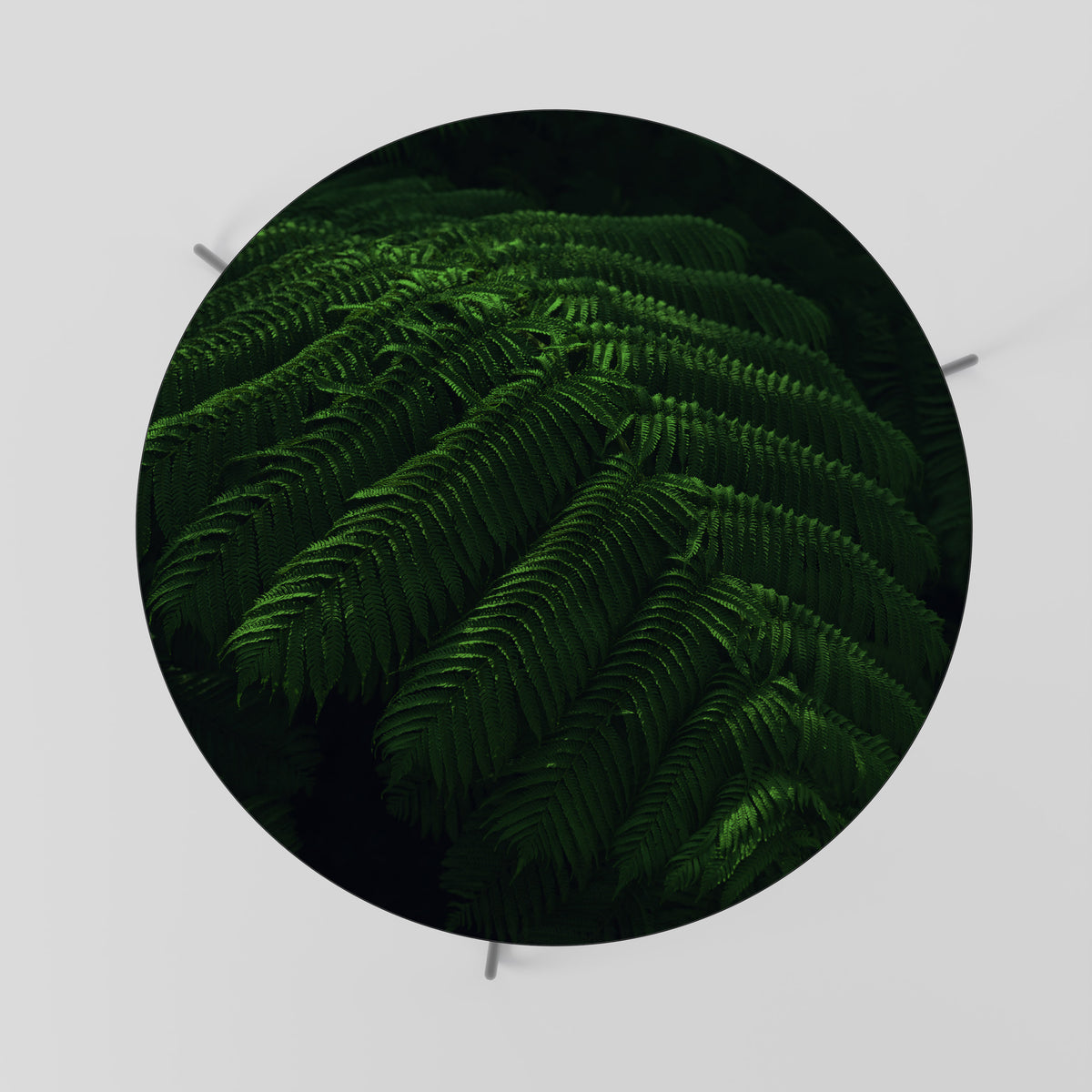 FERN FANTASY Mesa de centro