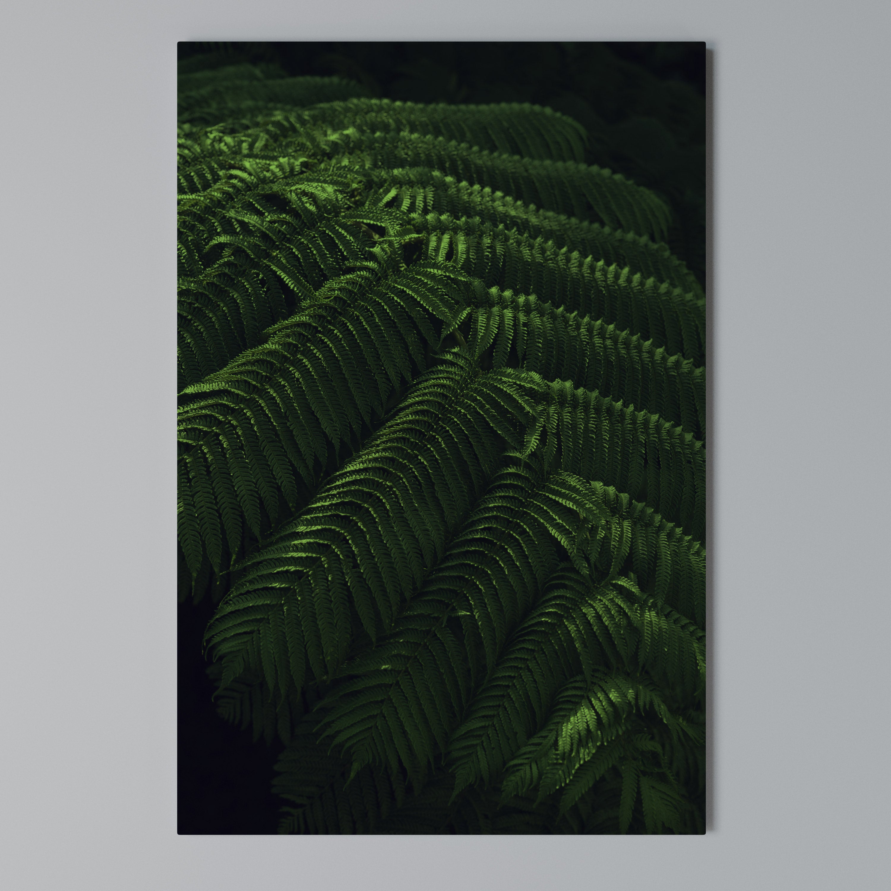 FERN FANTASY Vertical Canvas Print