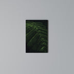 FERN FANTASY Cuadro en lienzo vertical
