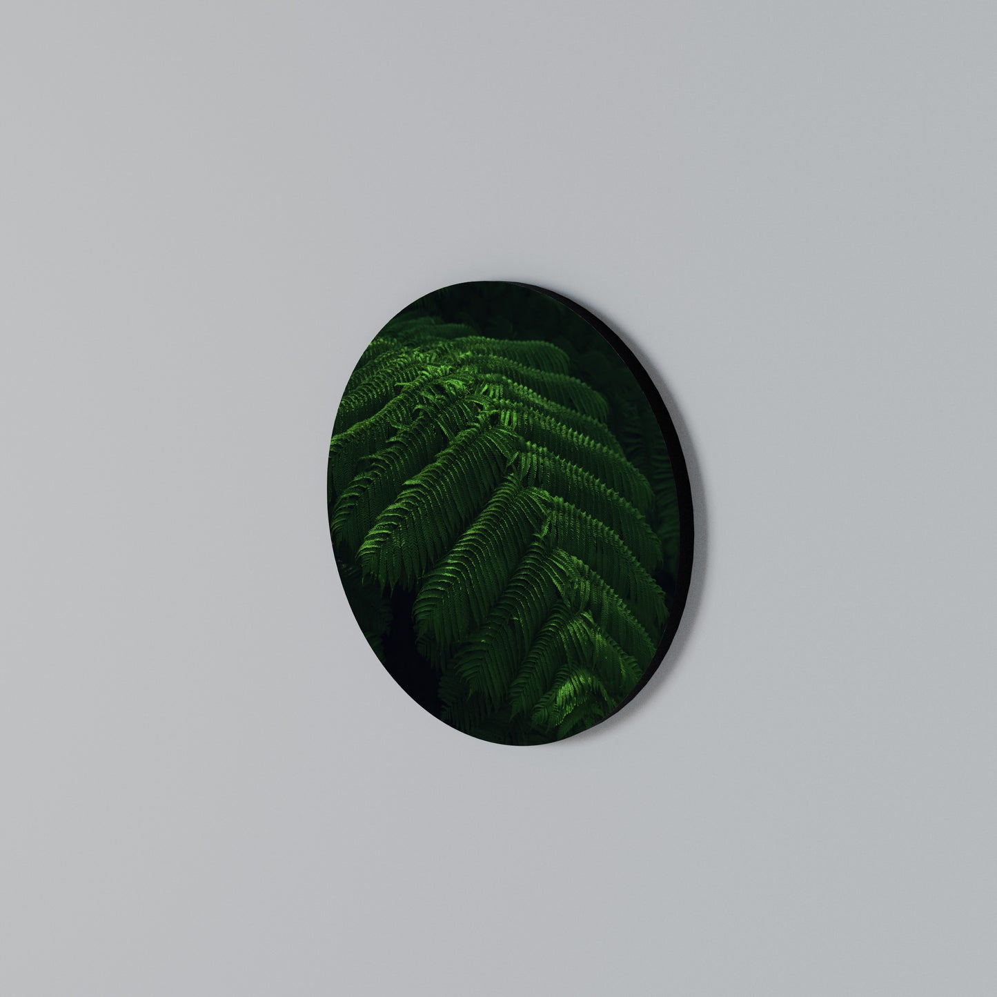 FERN FANTASY Arte de pared redondo