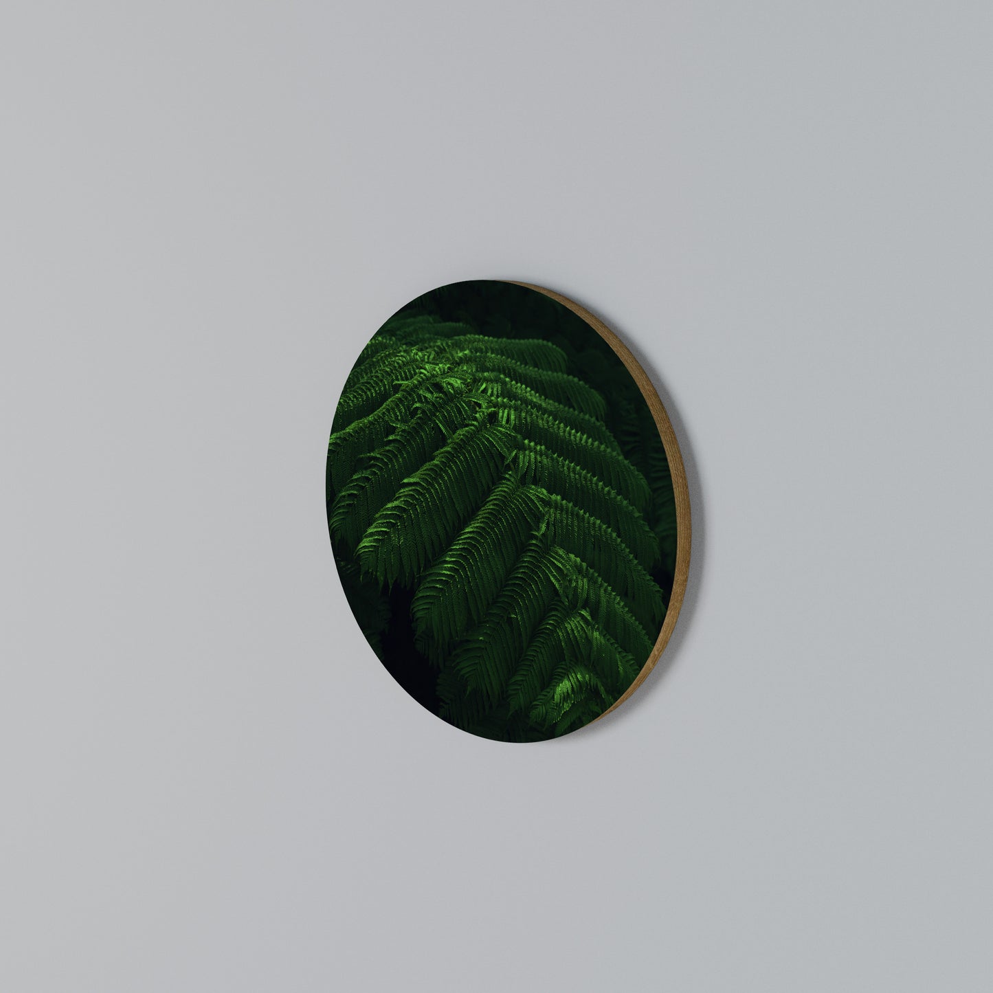 FERN FANTASY Arte de pared redondo