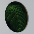 FERN FANTASY Arte de pared redondo