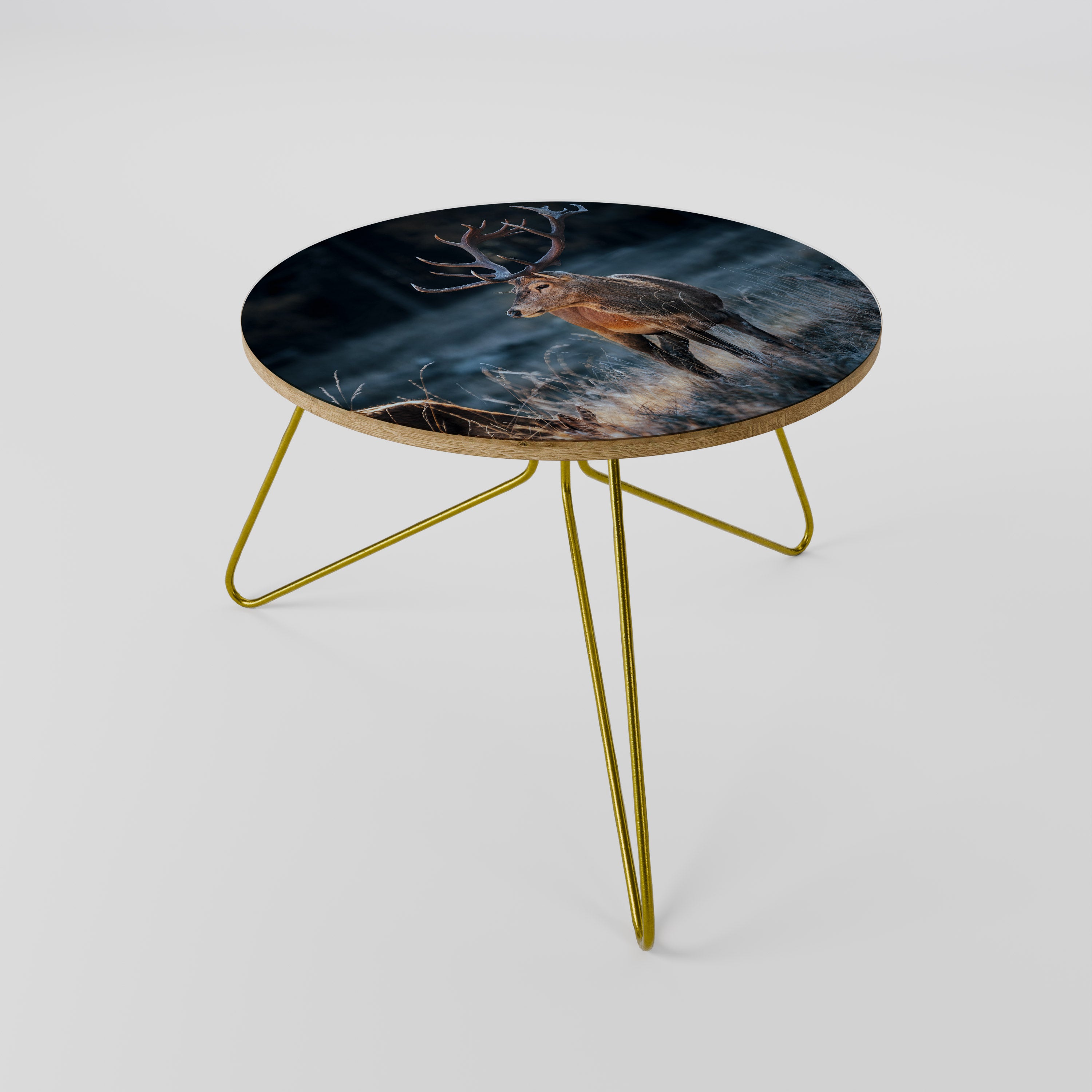 ANTLERED REGALITY Coffee Table 60