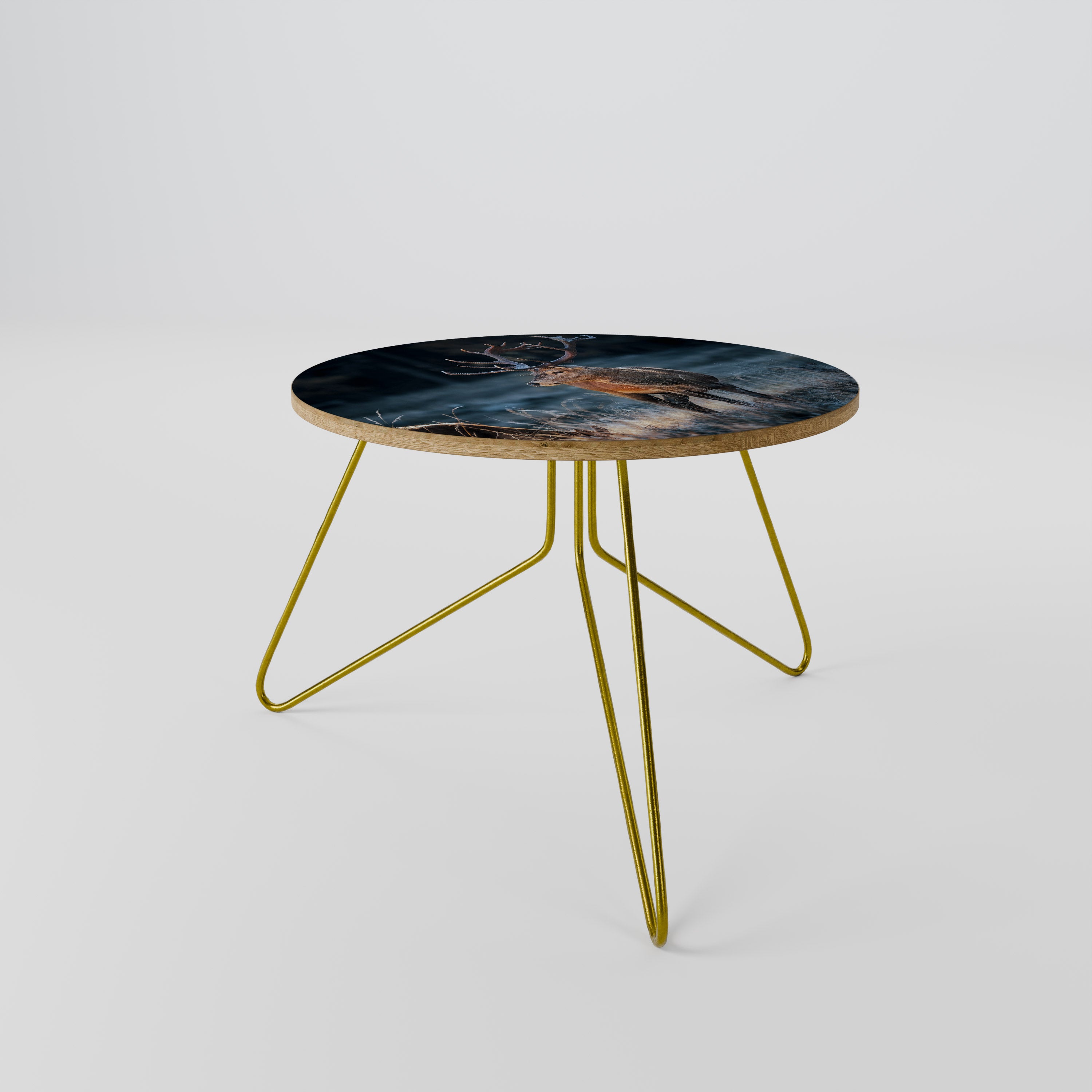 ANTLERED REGALITY Coffee Table 60