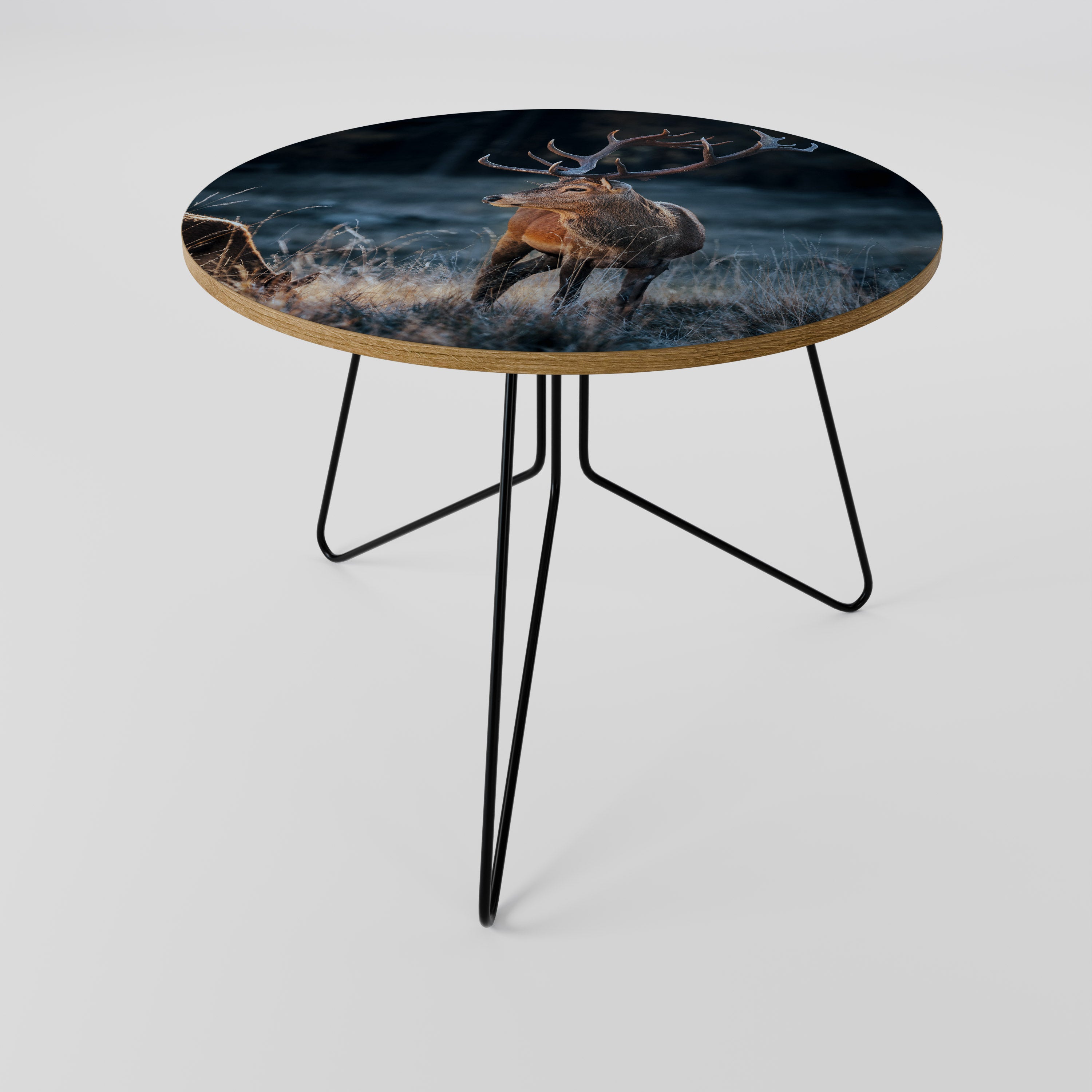 ANTLERED REGALITY Coffee Table 69