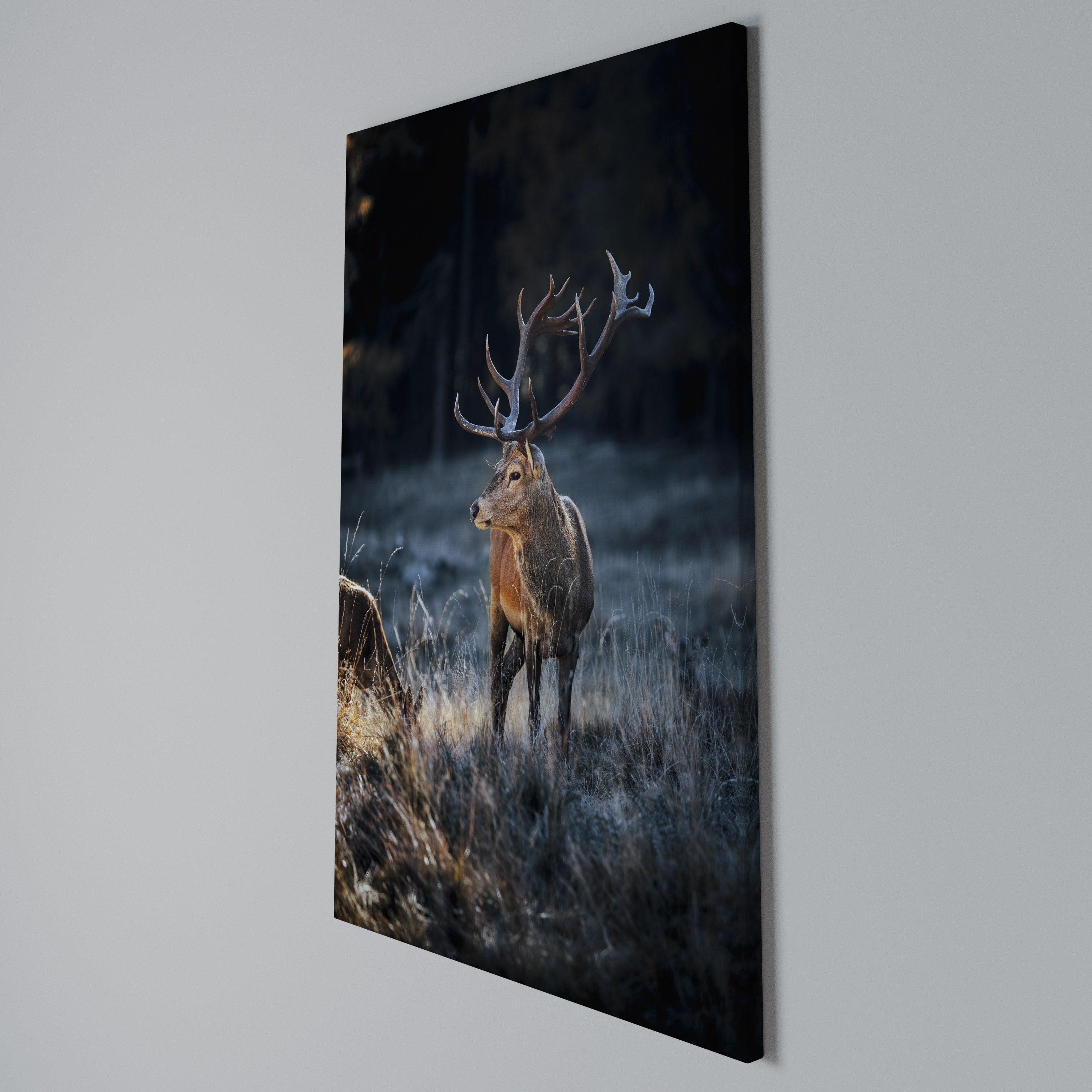 ANTLERED REGALITY Cuadro en lienzo vertical
