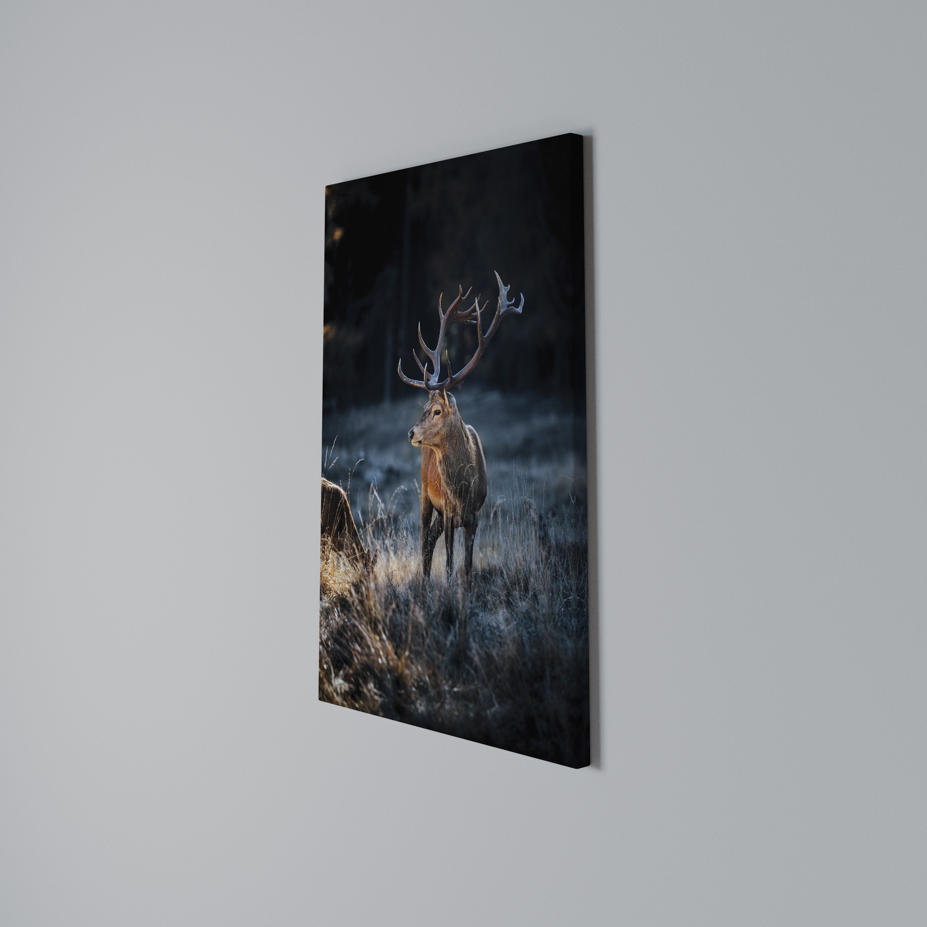 ANTLERED REGALITY Cuadro en lienzo vertical