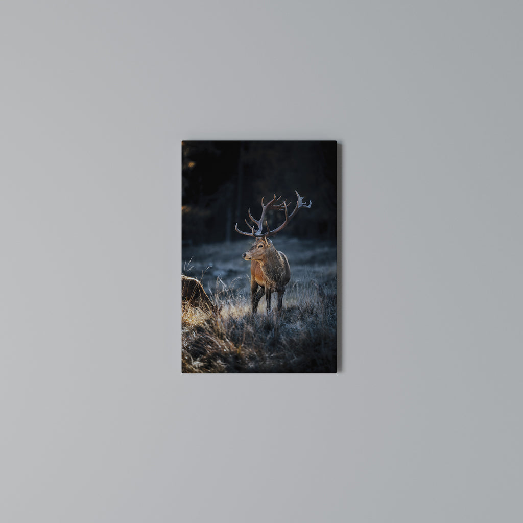 ANTLERED REGALITY Cuadro en lienzo vertical