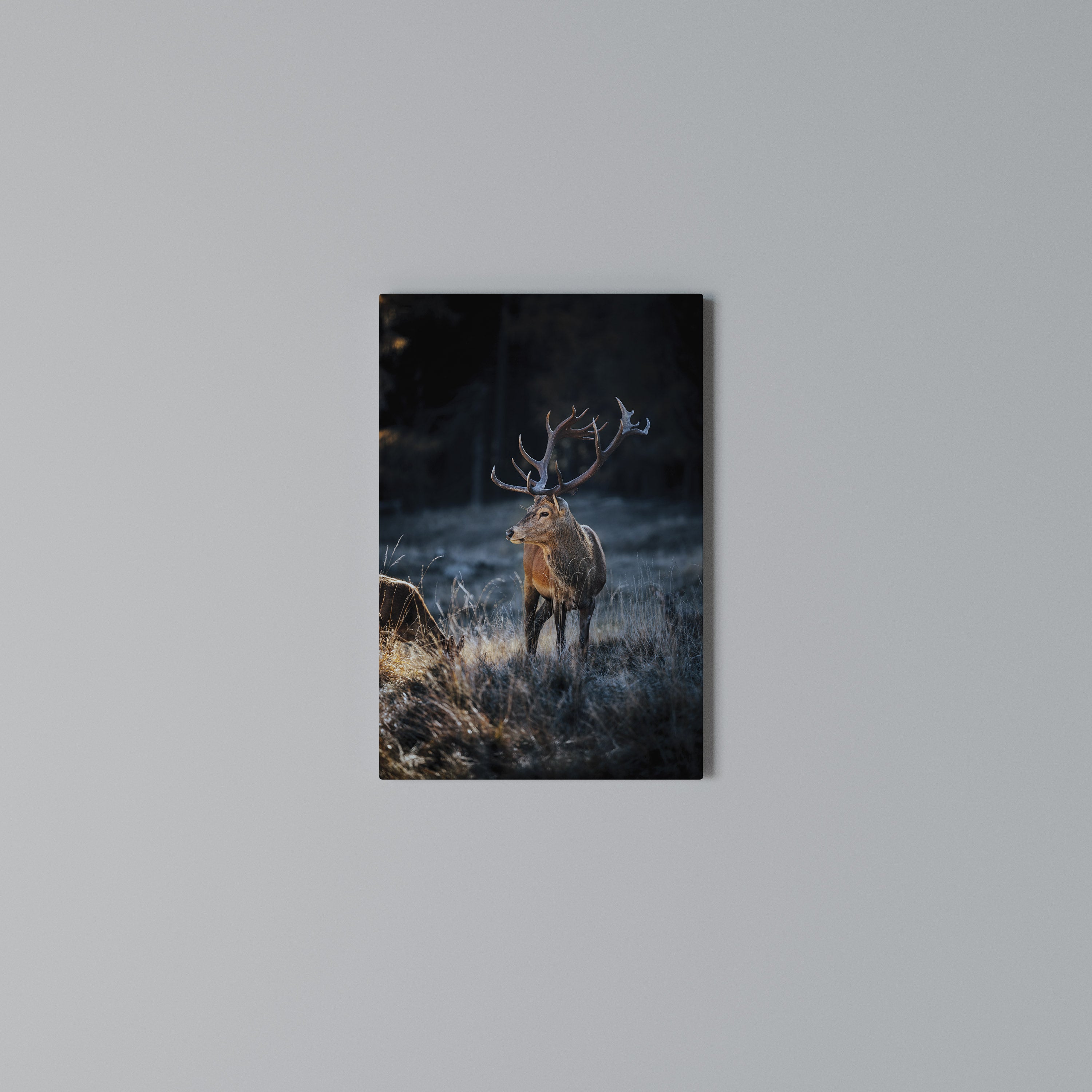 ANTLERED REGALITY Cuadro en lienzo vertical