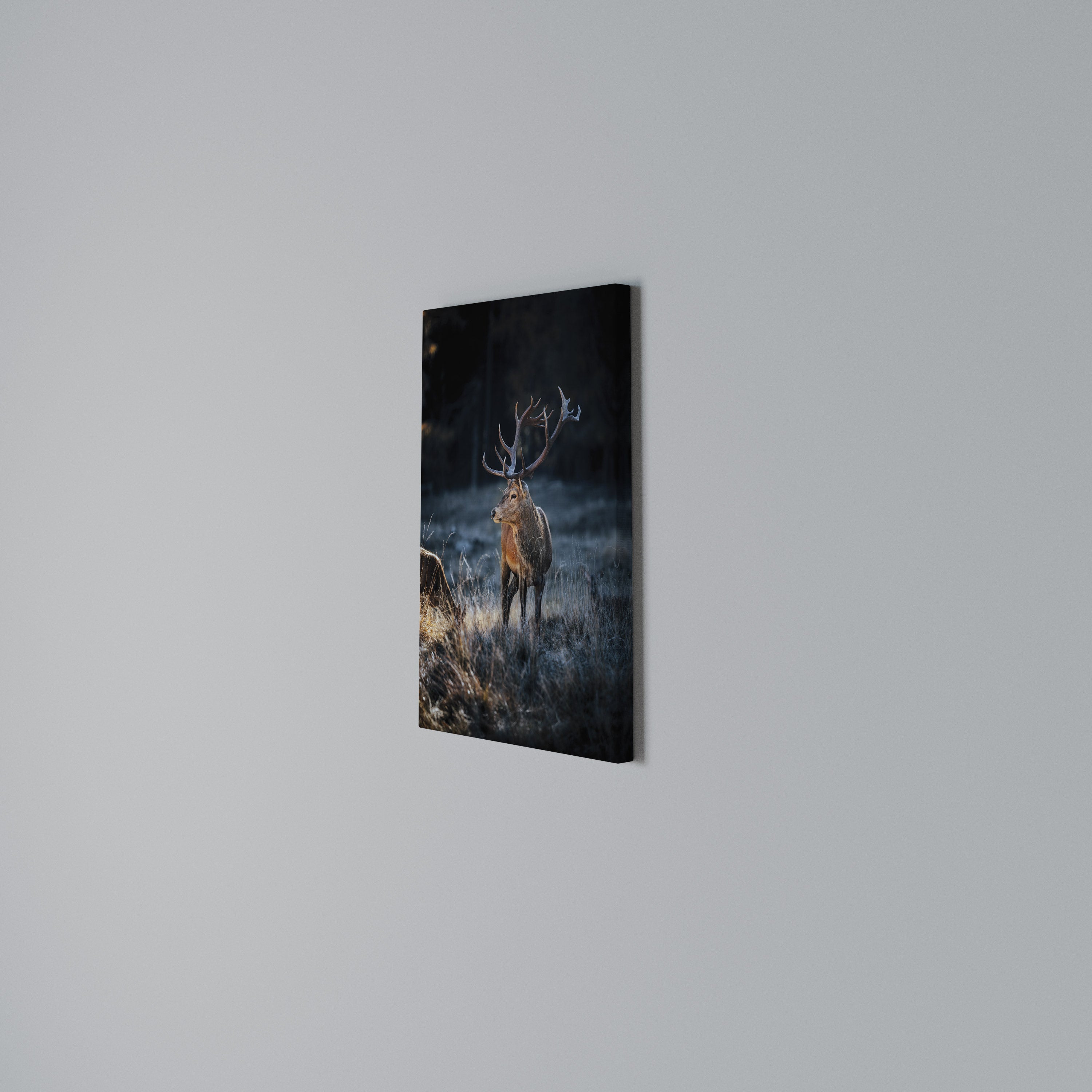 ANTLERED REGALITY Cuadro en lienzo vertical