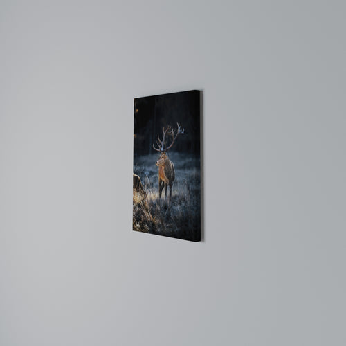 ANTLERED REGALITY Cuadro en lienzo vertical