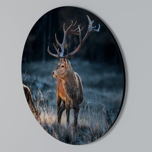 ANTLERED REGALITY Arte de pared redondo