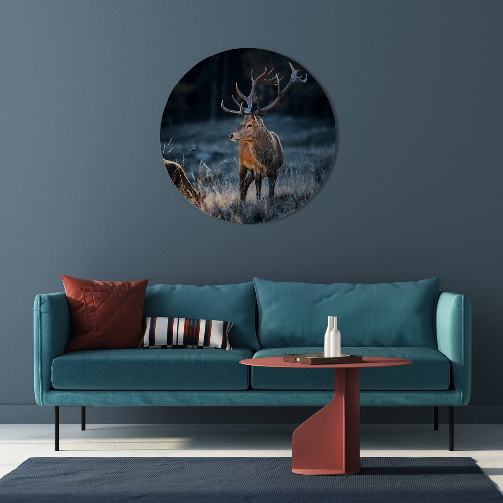 ANTLERED REGALITY Round Wall Art