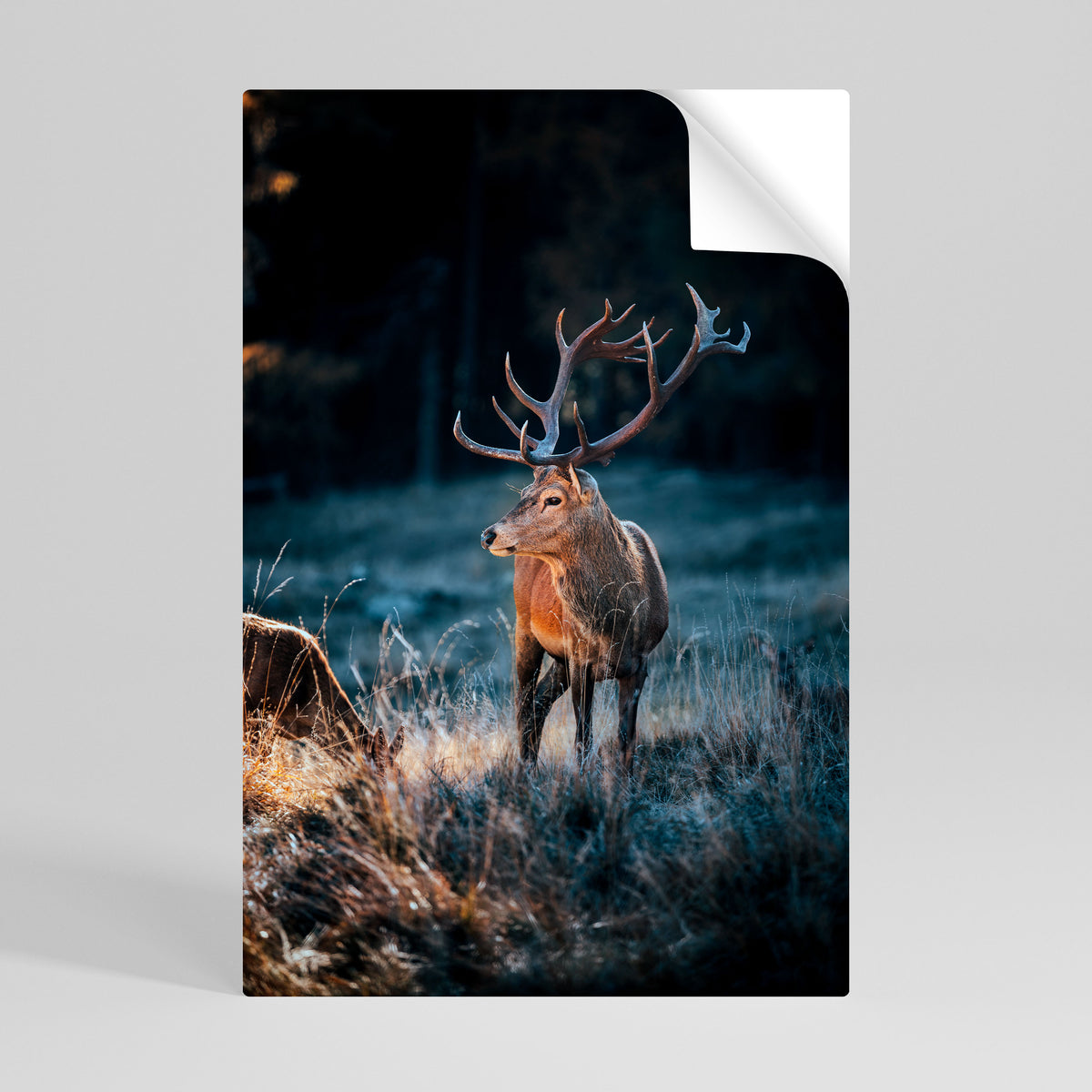 ANTLERED REGALITY Póster adhesivo vertical
