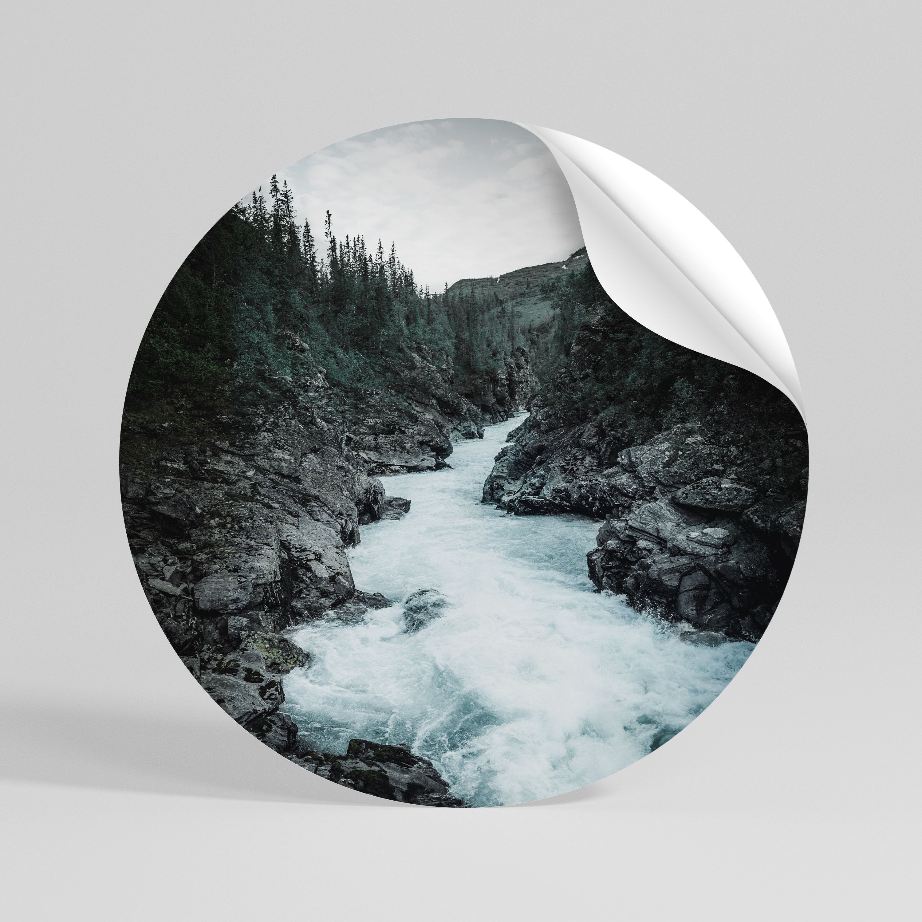 RUSHING REFLECTIONS Vinilo adhesivo redondo