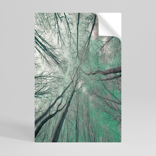 SKYWARD FANTASIES Póster adhesivo vertical