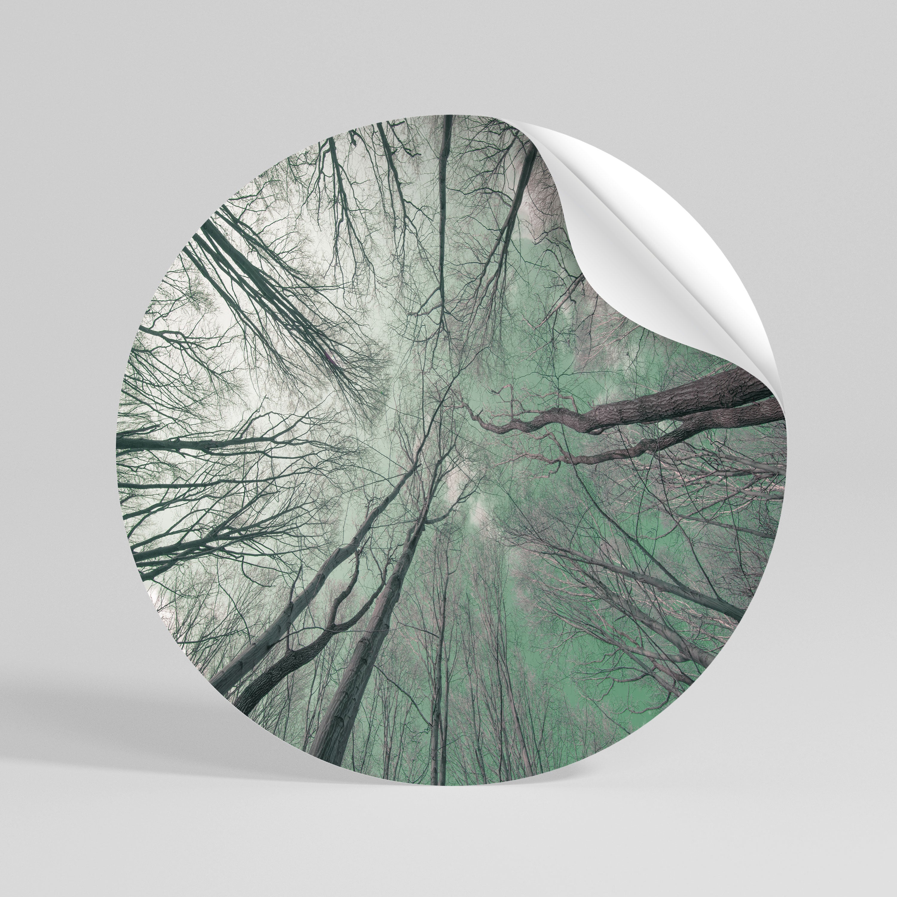 SKYWARD FANTASIES Vinilo adhesivo redondo