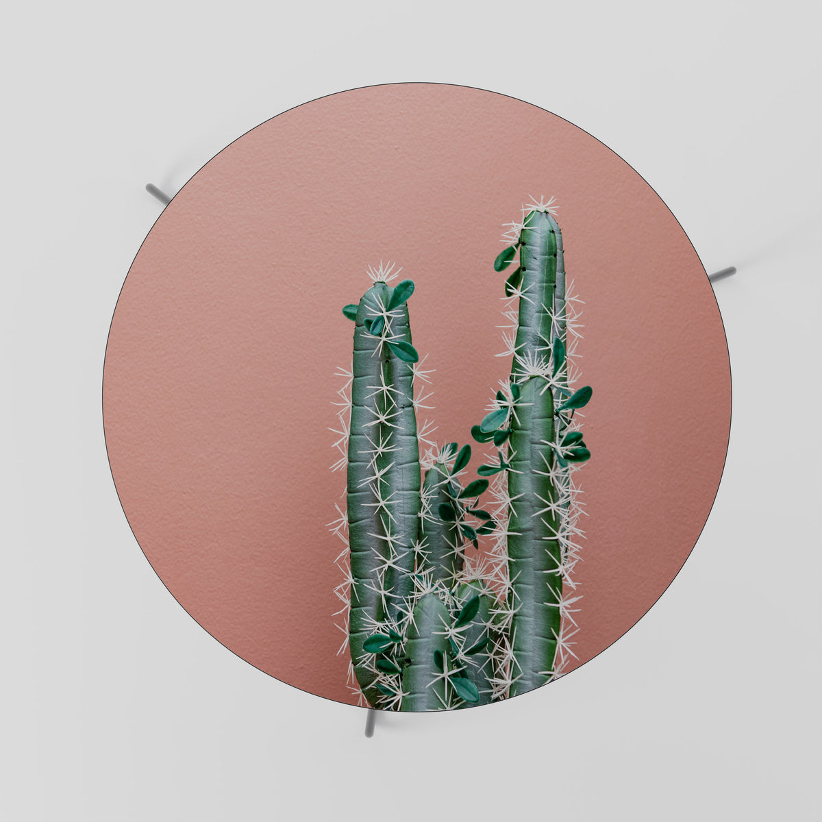 LORD CACTUS Mesa de centro