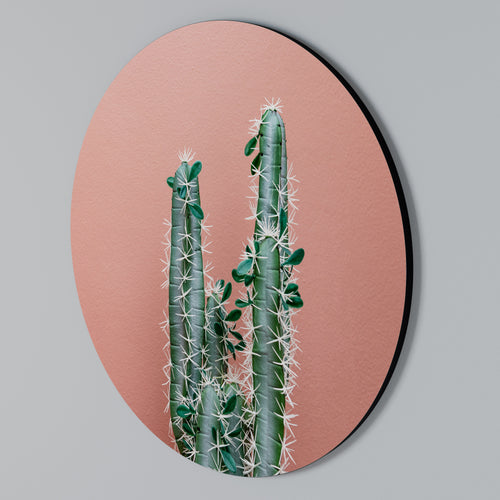 LORD CACTUS Arte de pared redondo