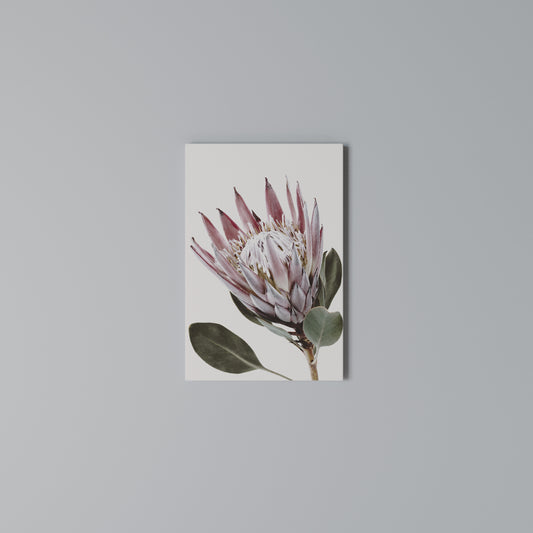 PROTEA FLOWER Cuadro en lienzo vertical