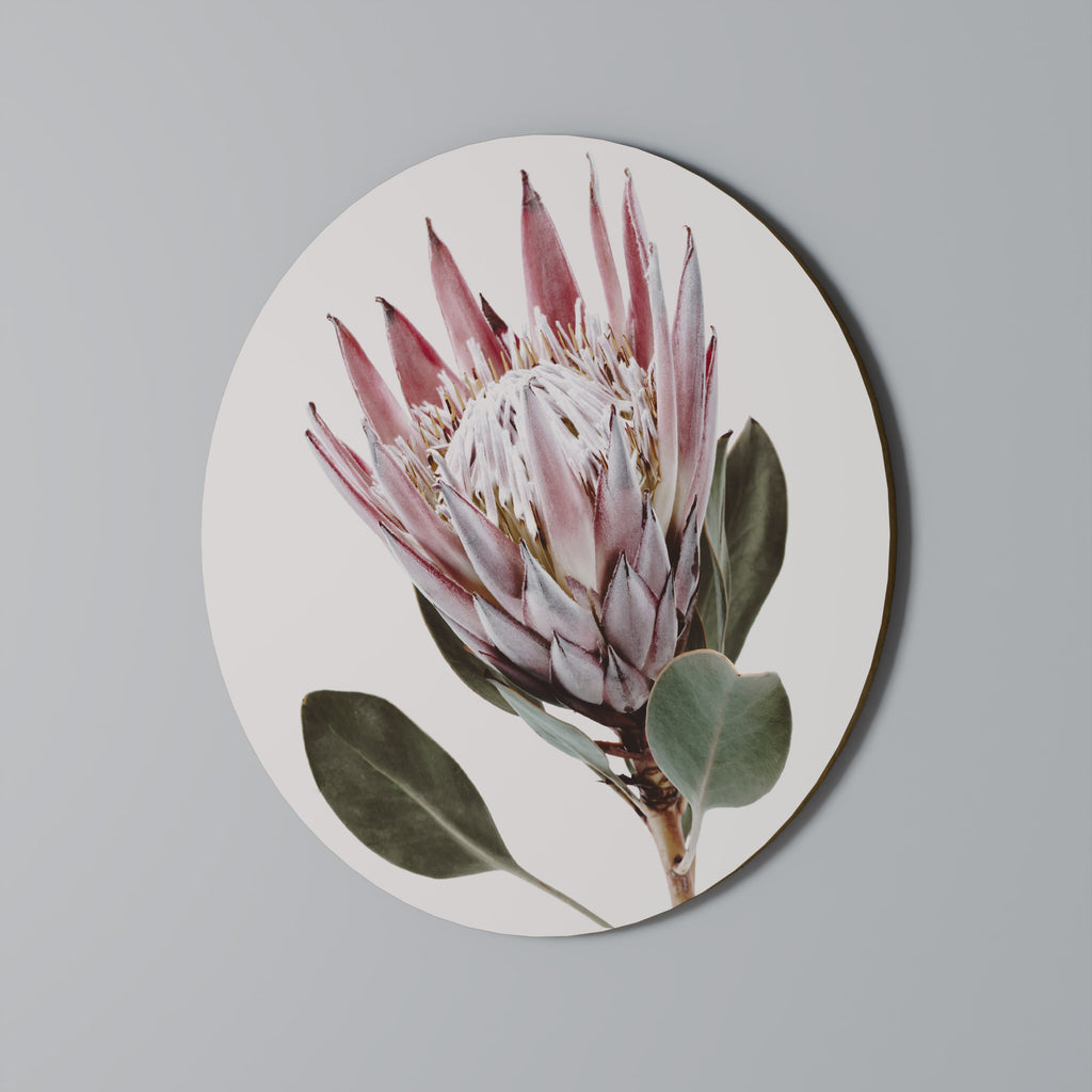 PROTEA FLOWER Round Wall Art
