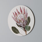 PROTEA FLOWER Decoración de Pared Redonda