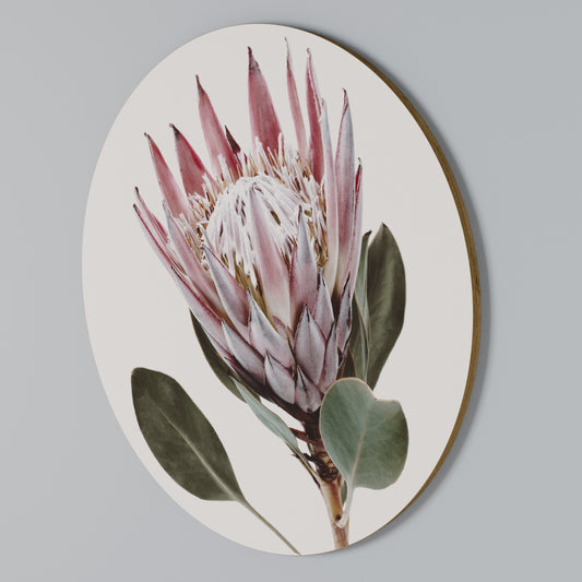 PROTEA FLOWER Arte de pared redondo