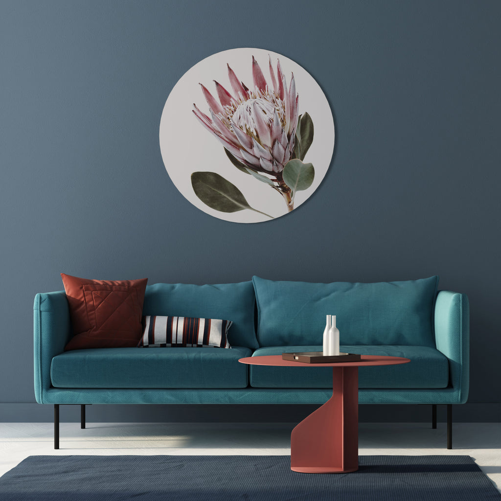 PROTEA FLOWER Round Wall Art