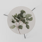 EUCALYPTUS BRANCH Coffee Table 60