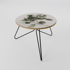 EUCALYPTUS BRANCH Coffee Table 60