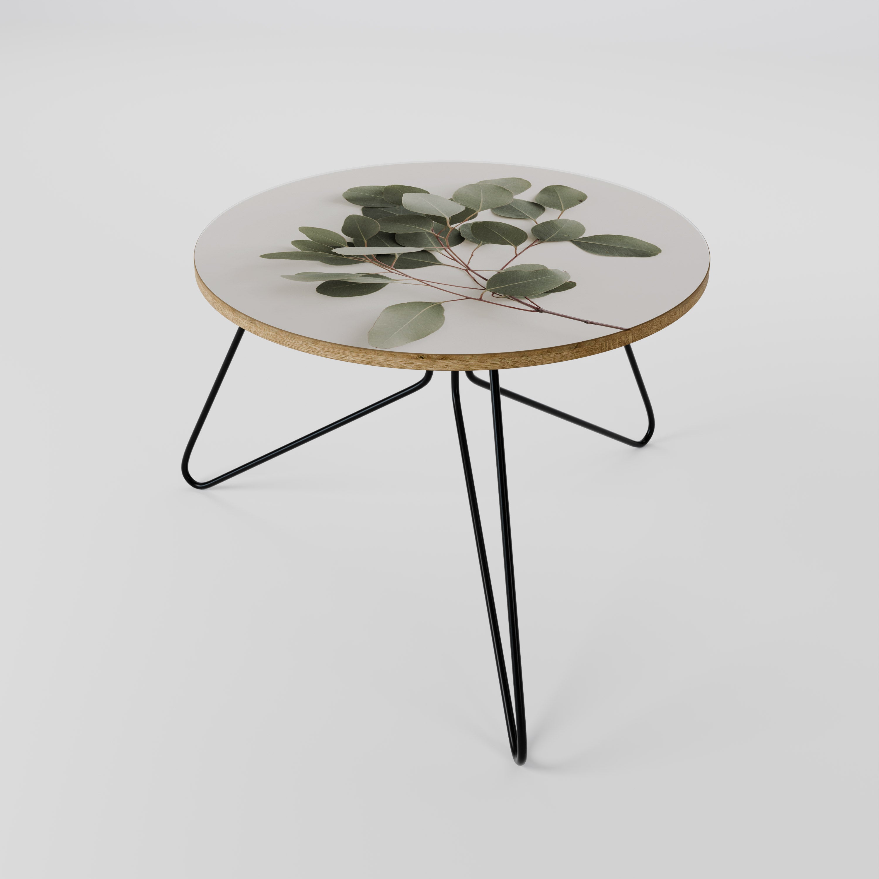 EUCALYPTUS BRANCH Coffee Table 60